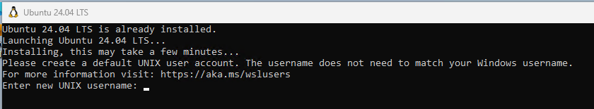 Screenshot prompting for username credentials in a new setup of Ubuntu 24.04.